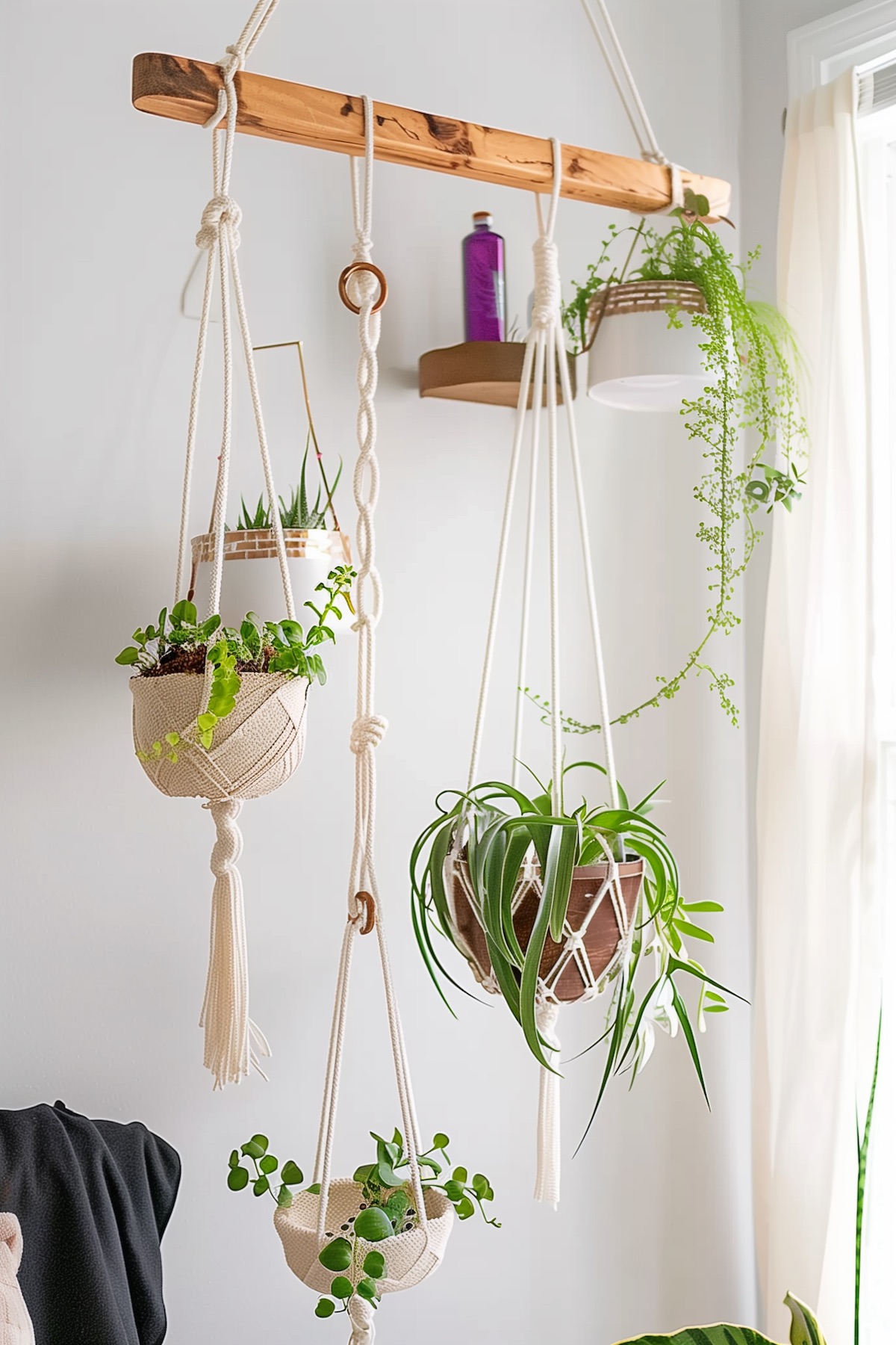 boho bathroom decor diy hanging plants