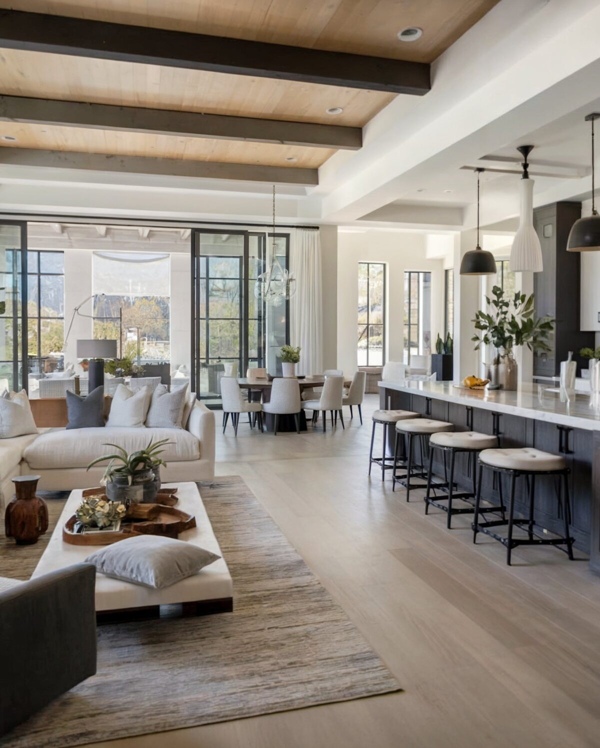 Open Concept Modern Living Room Decor