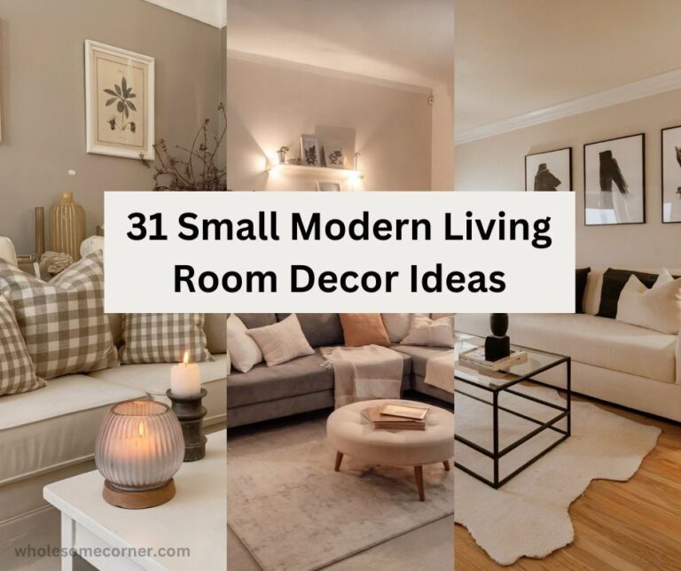 Small Modern Living Room Decor cover